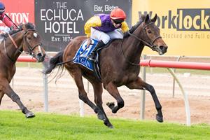 DAVIDA PROVES GOLIATH